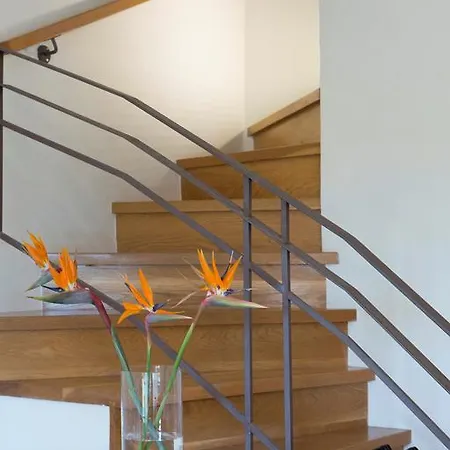Aeriko Homes Of Distinction וילה