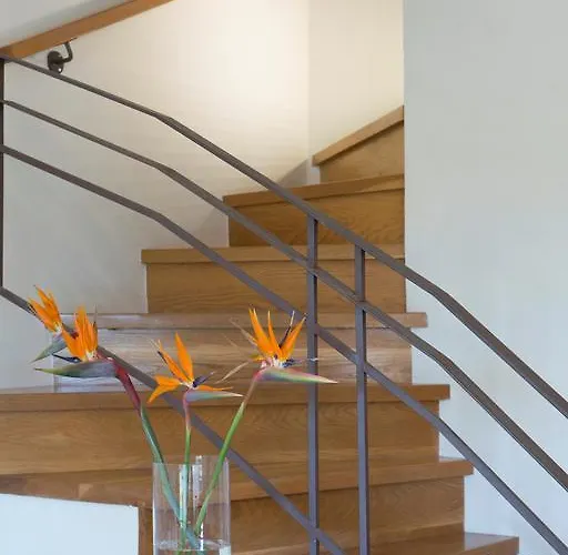 Aeriko Homes Of Distinction Villa
